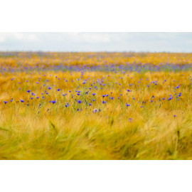 3 minuty pro štěstí