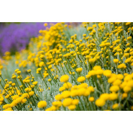 3 minuty pro štěstí