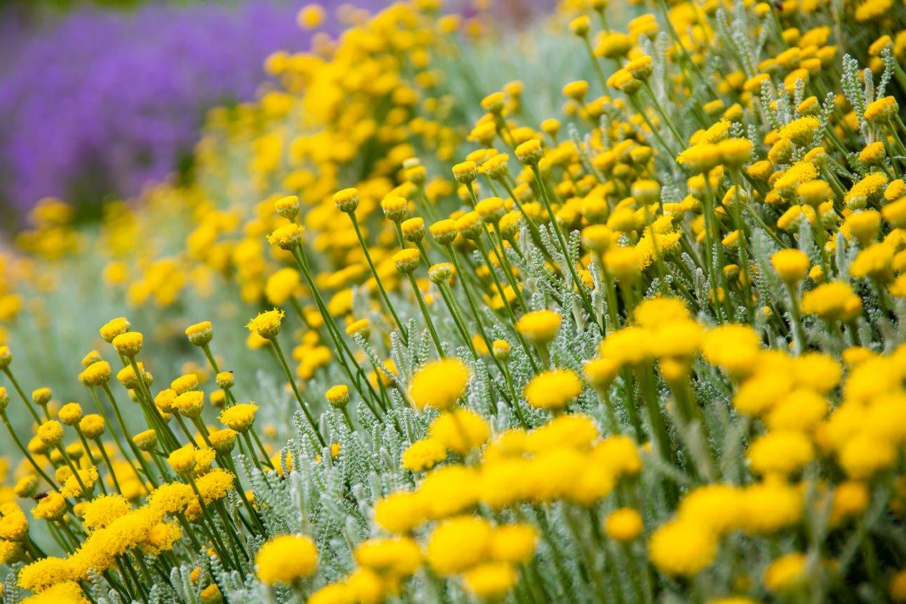 3 minuty pro štěstí