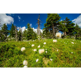 3 minuty pro štěstí