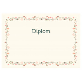 Diplom pro radost