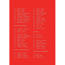 100 perliček pro (ne)milovníky češtiny