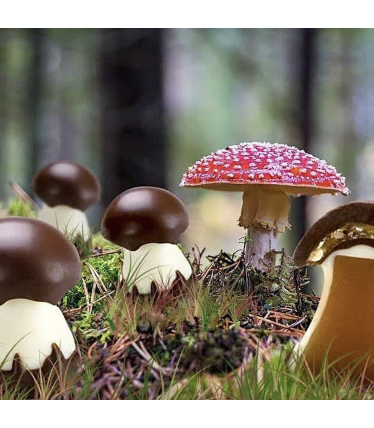 Pralinkové houbičky s karamelem a nugátem