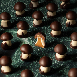 Pralinkové houbičky s karamelem a nugátem