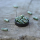 SPIRULINA - antioxidant, glykemie, svalstvo