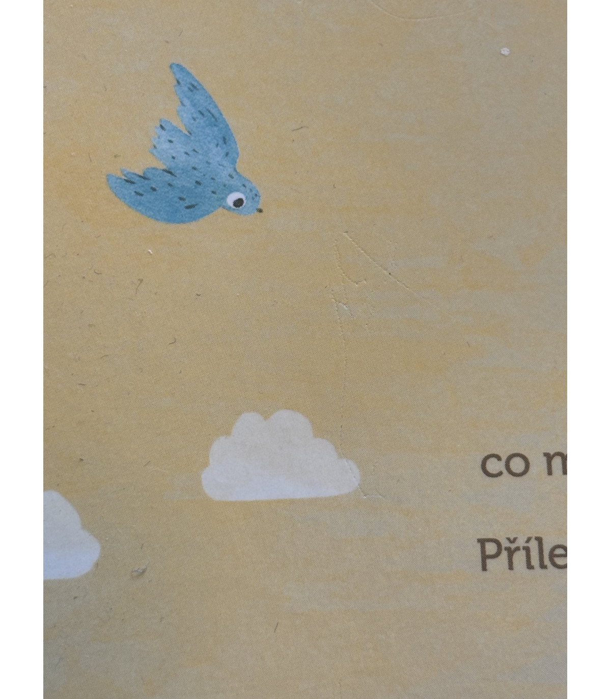 Naše výlety - POŠKOZENÉ