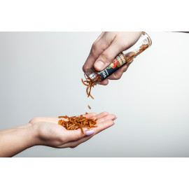 Pražení červíci v dárkové krabičce