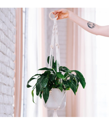 Macramé startovací sada – závěs na květináč | Kreativní dárek pro babičku