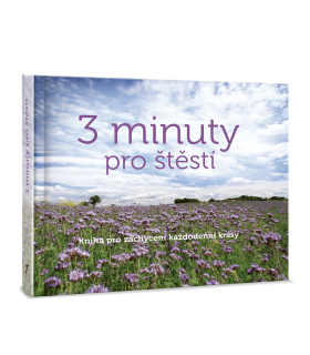 3 minuty pro štěstí - Kniha pro zachycení každodenní krásy