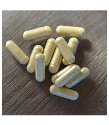 Cordyceps - zázrak čínské medicíny