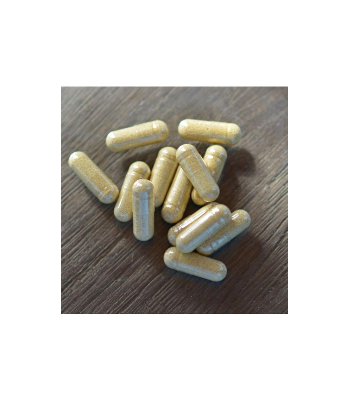 Cordyceps - zázrak čínské medicíny