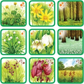 Pexetrio - Znáš naše byliny?