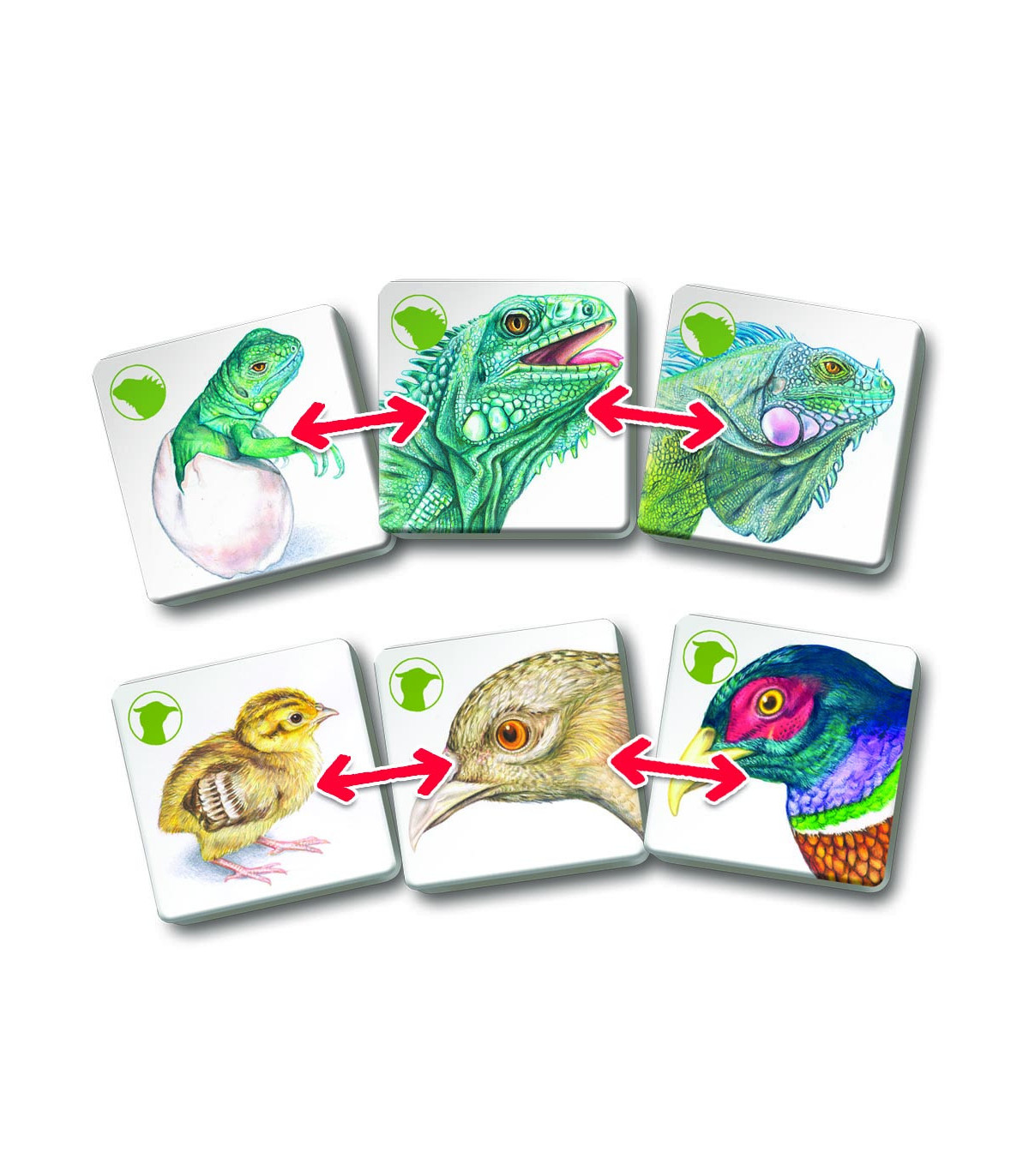 Pexetrio - Zvířecí rodinky