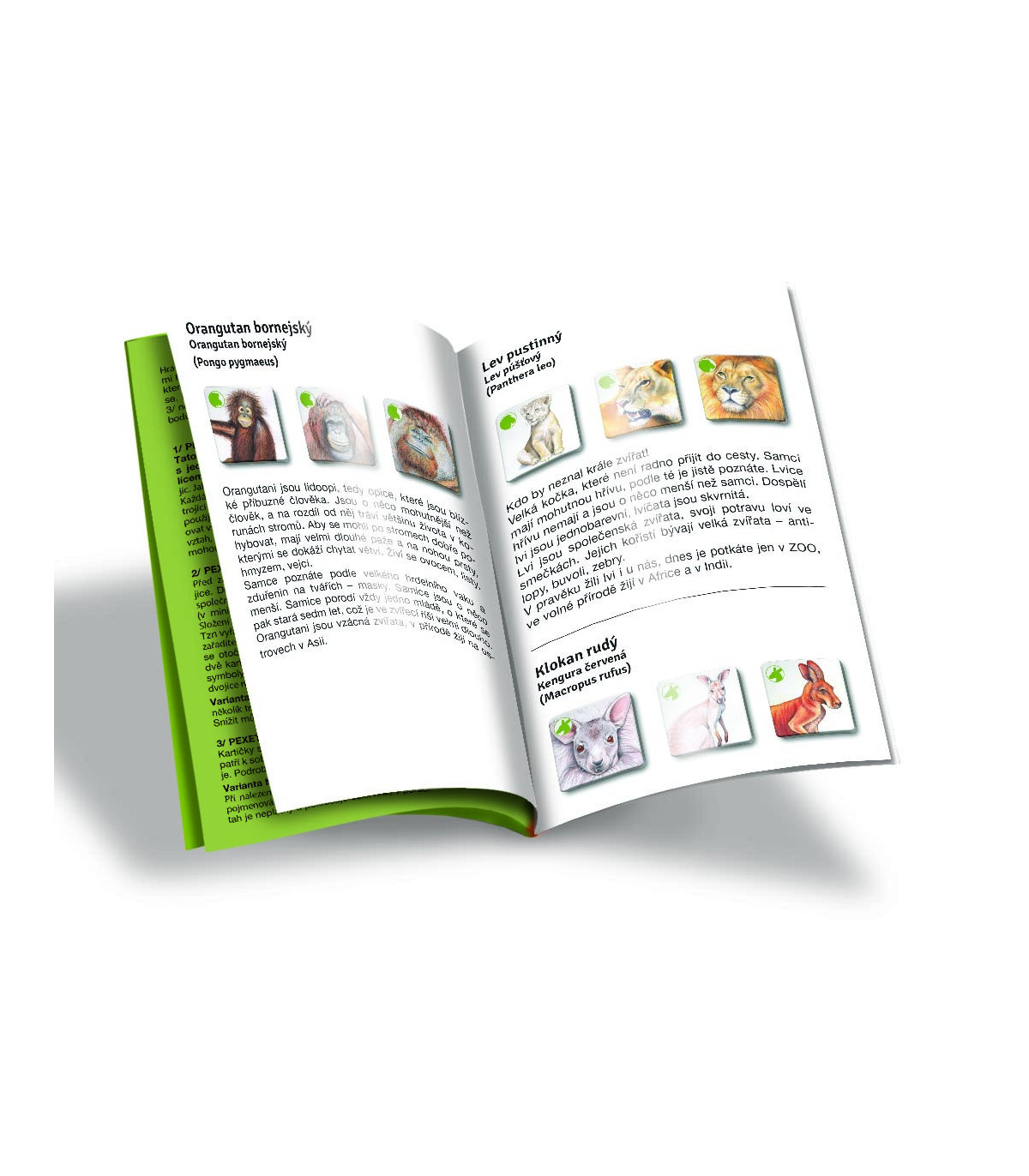 Pexetrio - Zvířecí rodinky