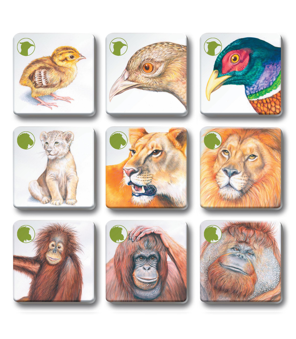 Pexetrio - Zvířecí rodinky