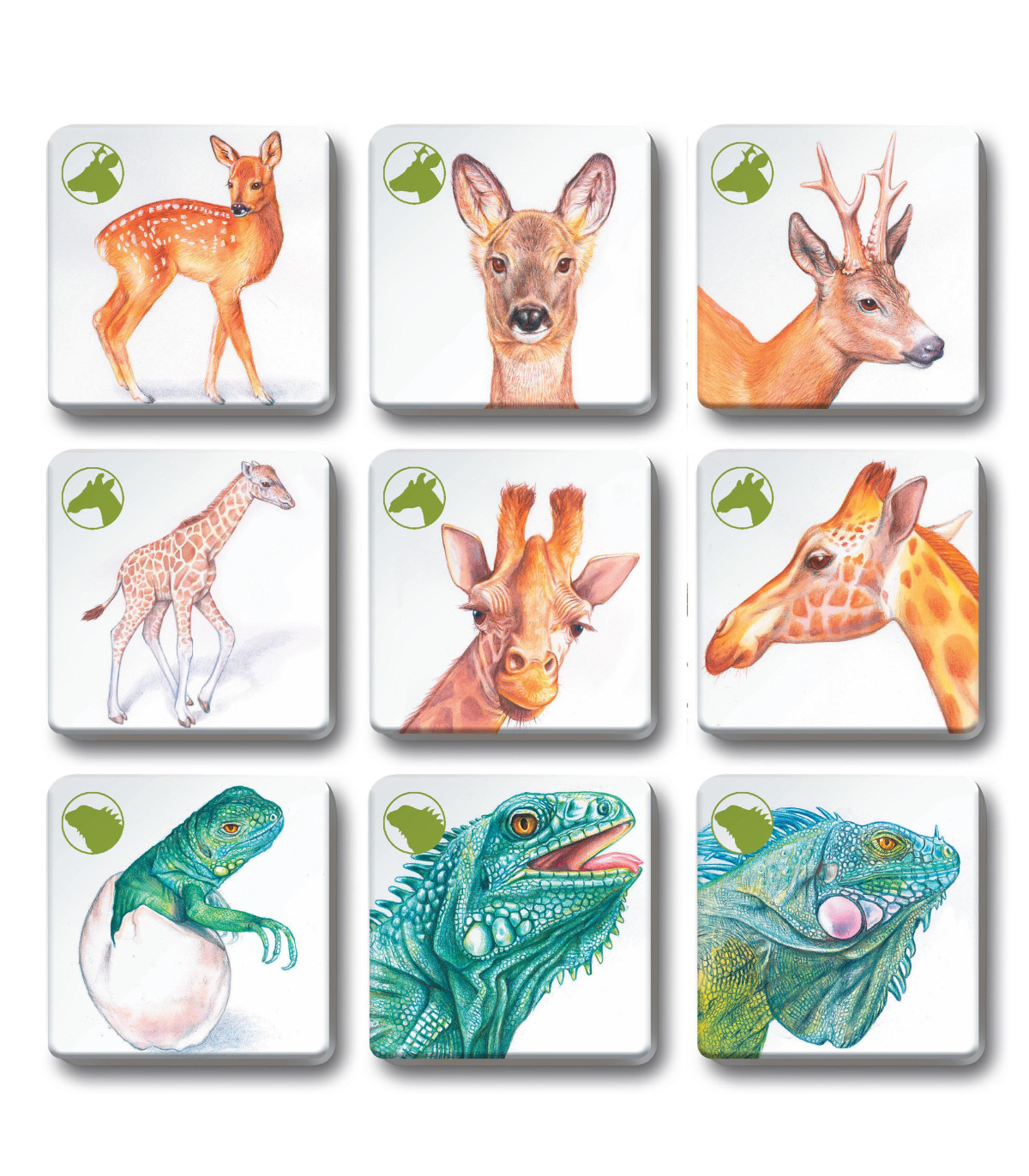 Pexetrio - Zvířecí rodinky