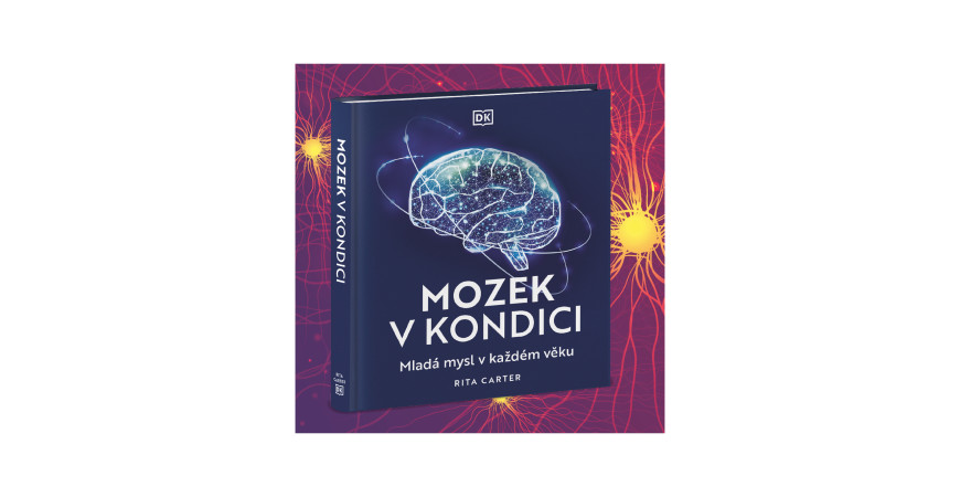 Mozek v kondici: Jak si udržet svěží mysl v každém věku