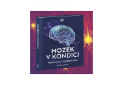 Mozek v kondici: Jak si udržet svěží mysl v každém věku