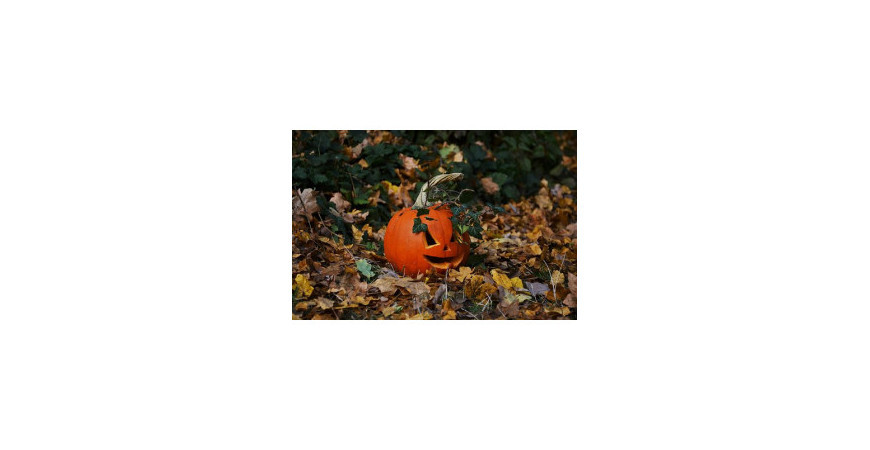 Podzim ovládají Halloween a Dušičky, kterému svátku dáváte přednost?