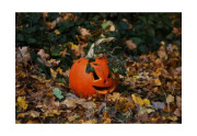Podzim ovládají Halloween a Dušičky, kterému svátku dáváte přednost?