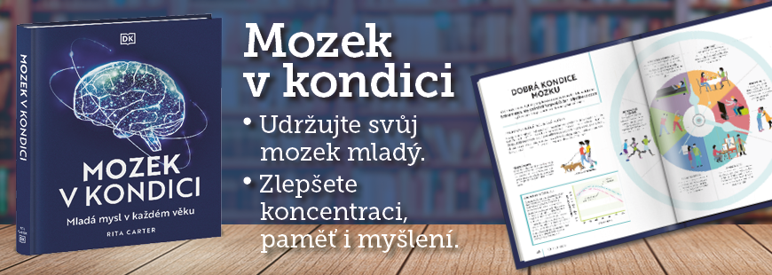 Mozek v kondici